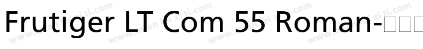 Frutiger LT Com 55 Roman字体转换